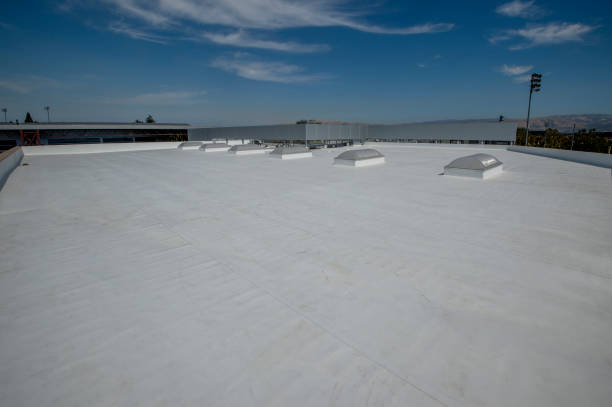 Best Roof Leak Repair  in Coral Terrace, FL